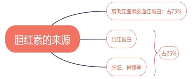 什么是新生儿黄疸